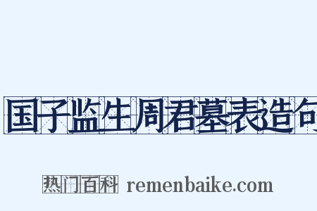 国子监生周君墓表造句是什么意思的图片